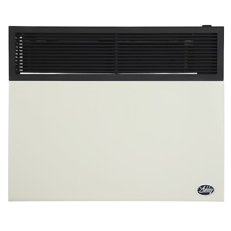 Ashley Hearth Products 25,000 BTU Direct Vent Propane Wall Heater DVAG30L